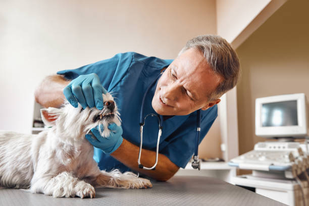 Best Emergency Tooth Extraction  in Immokalee, FL